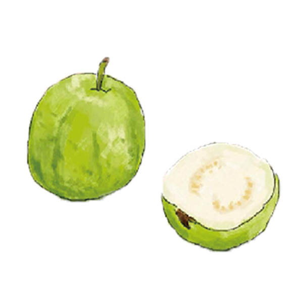 �x�W���G-�ݼ�